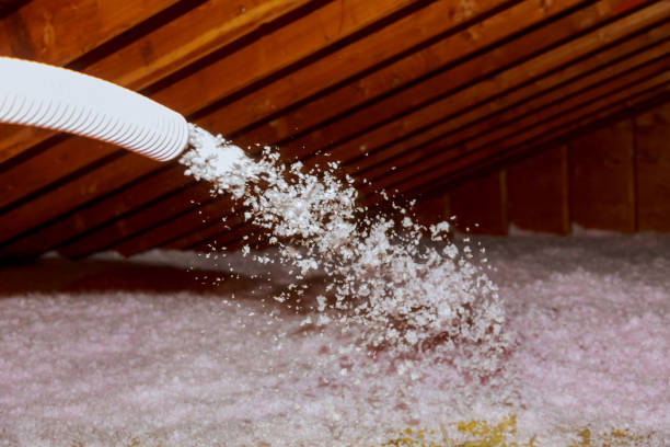 Best Energy Efficiency Solutions in Prairie View, TX