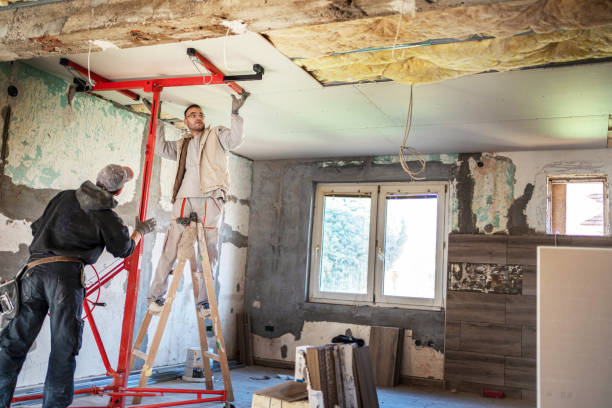Best Insulation Maintenance and Repair in Prairie View, TX